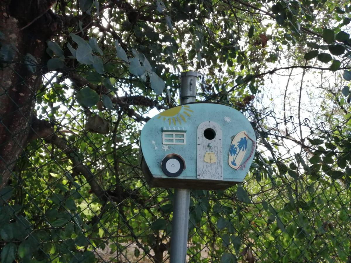 Monte Papa Figos Malhao (Faro) Exterior foto